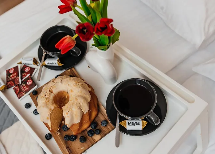 Maya's Flats & 29 - Bastion Walowa, Gdans *