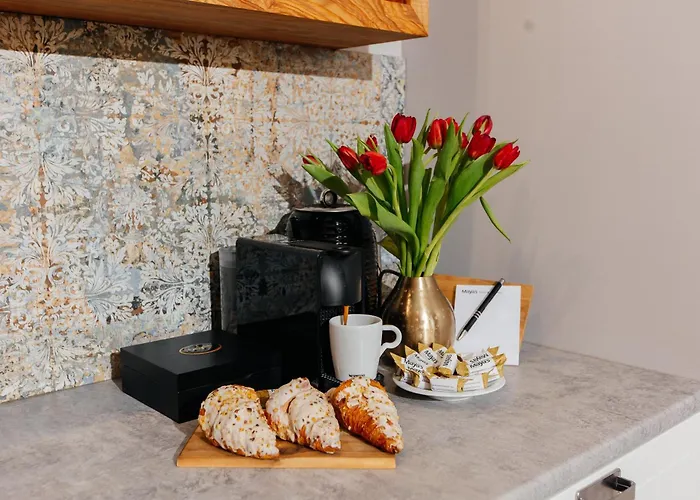 Maya's Flats & 29 - Bastion Walowa, Gdans דירה גדנסק